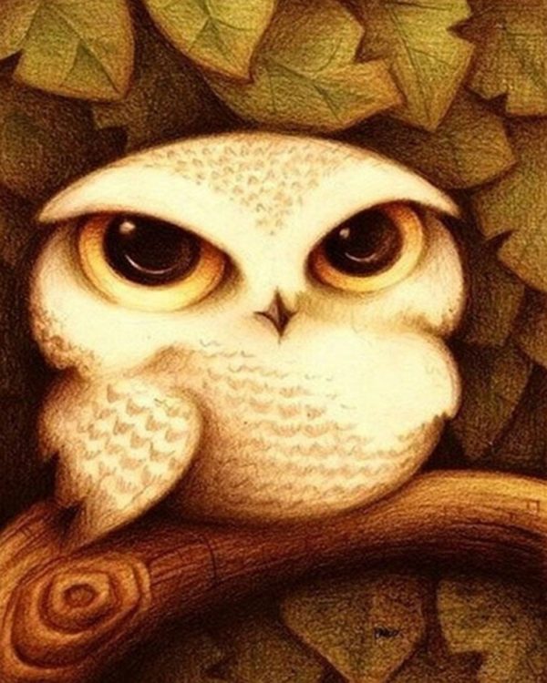 Живопись по номерам "Совенок", 30х40см