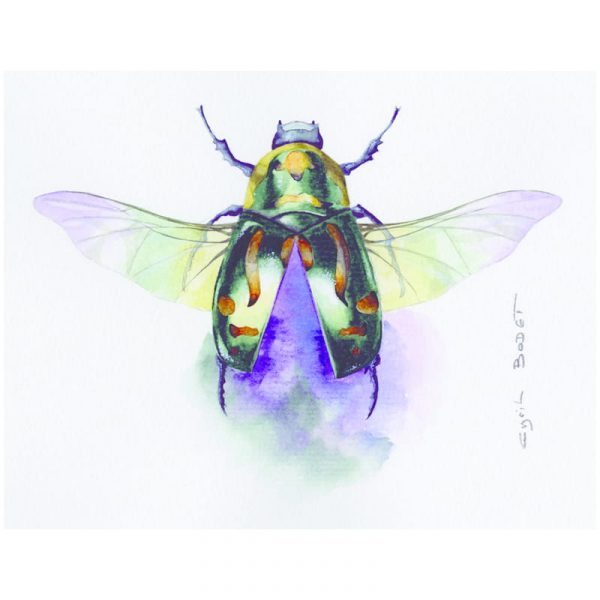 Бумага для акварели Clairefontaine "Etival", 300г/м2, 560х760мм.