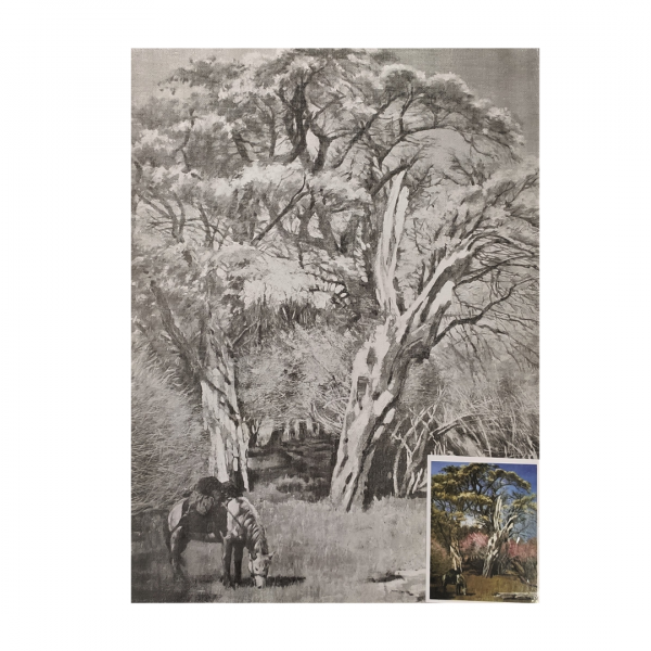 Холст на картоне с контуром, DK13705-N, 30х40см