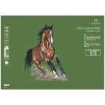 Бумага для пастелей Palazzo 350х500 "Dark jungle" (тёмные джунгли),160г/м2.