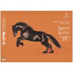 Бумага для пастелей Palazzo 350х500 "Terracotta" (терракотовый), 160г/м2.