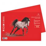 Бумага для пастелей Palazzo 350х500 "Red" (красный), 160г/м2.