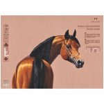 Бумага для пастелей Palazzo 350х500 "Latte" (бежевый), 160г/м2.