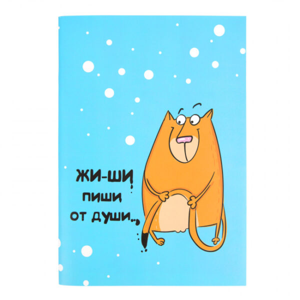 Блокнот в точку "Жи-ши"