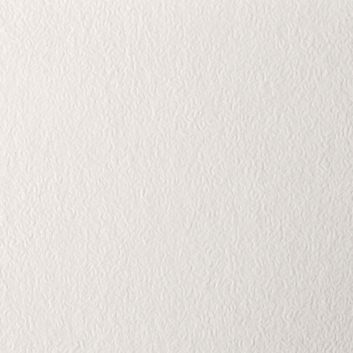 Бумага для пастели А4, 20 л., бумага слоновая кость ГОЗНАК 200 г/м2, тиснение Скорлупа, BRAUBERG ART