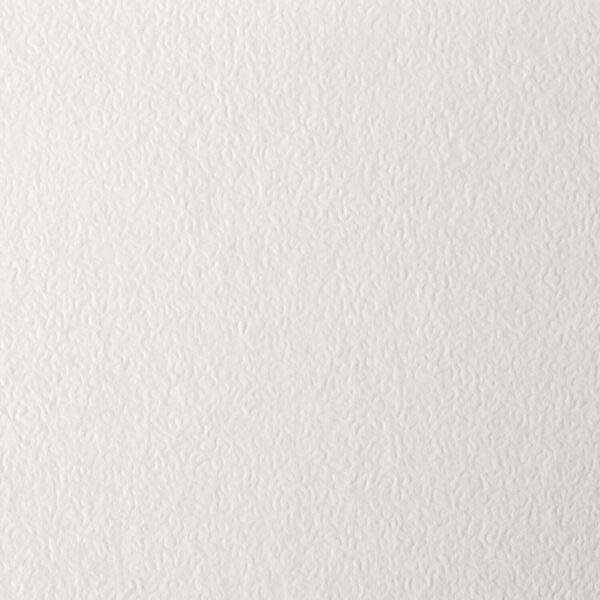 Бумага для пастели А4, 20 л., бумага слоновая кость ГОЗНАК 200 г/м2, тиснение Скорлупа, BRAUBERG ART